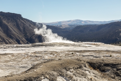 Mammoth Yellowstone NP 2024
